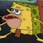 暴风吸入决绝子