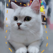 躲子弹的弄弄桑