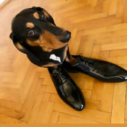 Діпутіт Жорік