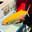 the rare rainbow bangus