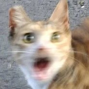 古书任务真搞啊啊啊