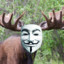 Anonymoose