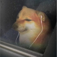 线虫的奇妙冒险