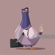 PIGEON