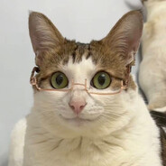 剑核心启动！！