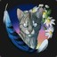 Jayfeather227