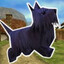 blue dog