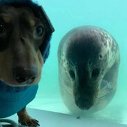 я был в списке бро