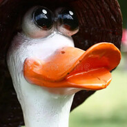 ObeseGoose