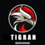 TIGRAN GAMING