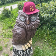 Pride_WithoutReasons