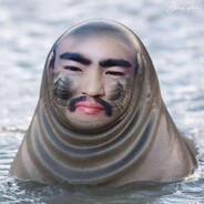 Babyseal
