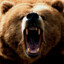 rizzlybear1124
