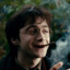 Harry Pothead