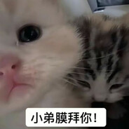 我掉了一个睾丸