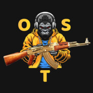 t1mer - steam id 76561199653757019