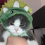 housecat