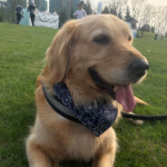 风雨欲来山满楼