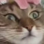 ᵗᵗᵛpudnpop