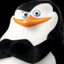 Skipper
