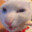 <<<Hello_KITTY_POWER>>>