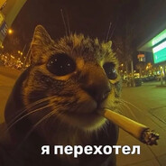 Прорвемся