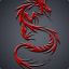 »Red-Dragon«