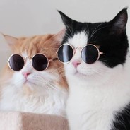 Meow Meow's avatar