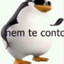 nem te conto