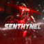 Senthynel