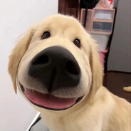 无所不能的灰太狼大王