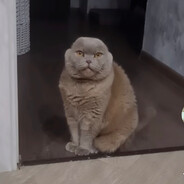 grub