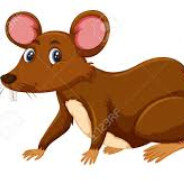 Kitty McNuggets Revolution