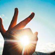 呆呆的半-4.8市场代购