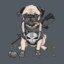 PugShot