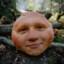 рыжий кок