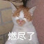 朝花夕拾
