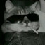 felipi.p.m