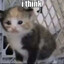 No Think