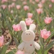 拜托别再白给了