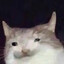 𝙞𝙎𝙪𝙠𝙮𝙪