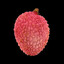 Lychee