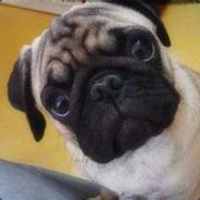 貂蝉再爱我一次