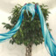 HATSUNE FICUS (JABODOWO)