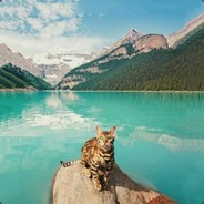 下载反诈APP,拒绝队友说大残