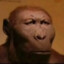 BigCHongus
