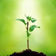Seedling - steam id 76561197971706551