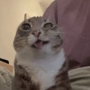 rampharo
