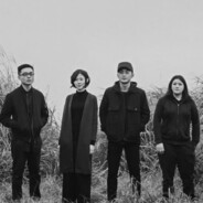 The best doc of elec