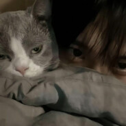 生椰丝绒最好喝